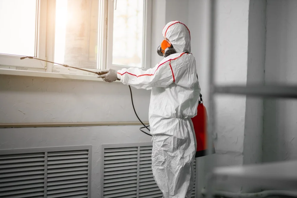 Professional mold remediation services in Palm Beach Gardens, FL